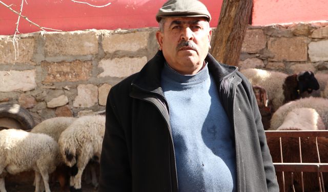 Kilis'te kurtların saldırdığı 3 küçükbaş telef oldu