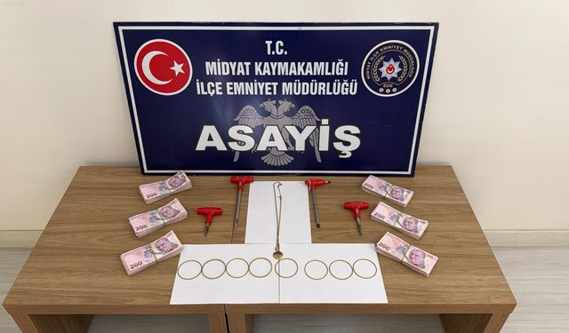 Mardin'de hırsızlık zanlısı 5 şüpheli yakalandı