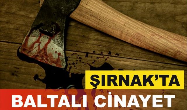 Tartıştığı Kişiyi Baltayla Öldürdü Eşini Yaraladı