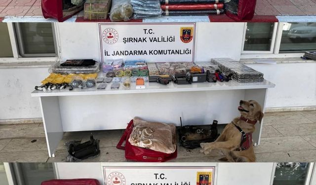 Şırnak'ta operasyonlarda 91 şüpheliye işlem yapıldı