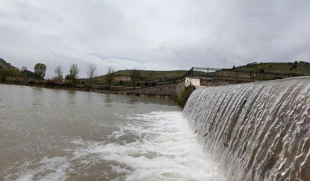 Adıyaman'da akıntıya karşı yüzen balıklar dikkat çekti