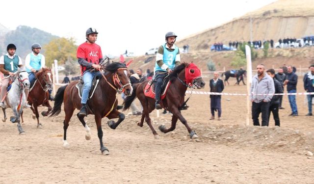 Adıyaman’ın 71’inci Yıldönümüne Rahvan At Yarışı Renk Kattı!