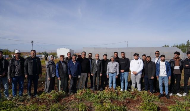 ADYÜTAYAM, hasat ve sera denemelerinde başarılı oldu