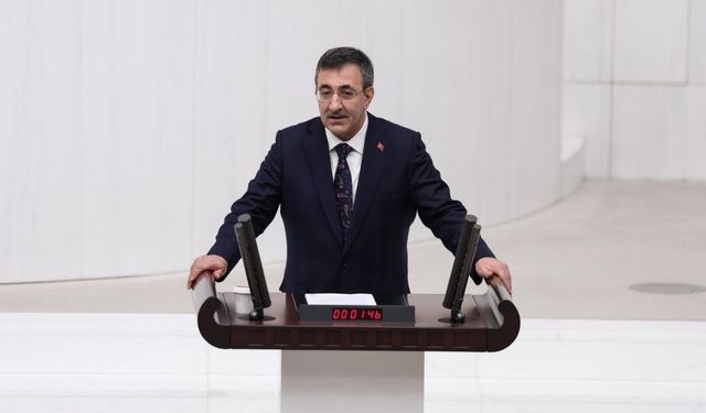 Vatandaşlık Maaşı 2026 yılında kısmen başlıyor!