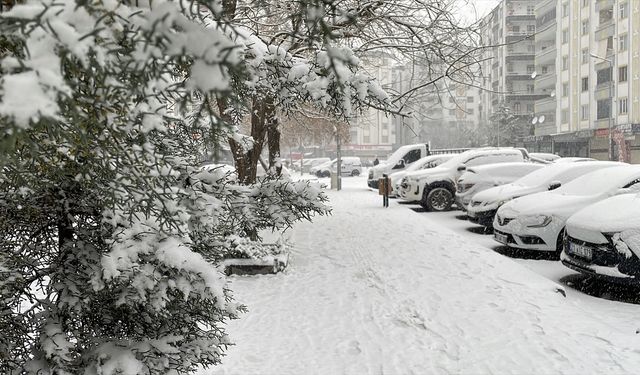 Diyarbakır'da kar yağışı etkili oldu
