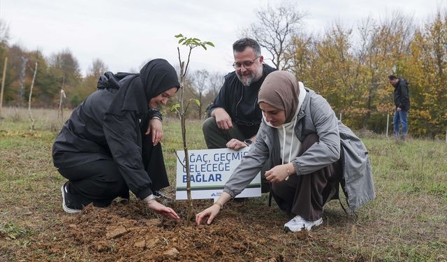 Katılım Emeklilik 10 bin fidanı toprakla buluşturdu
