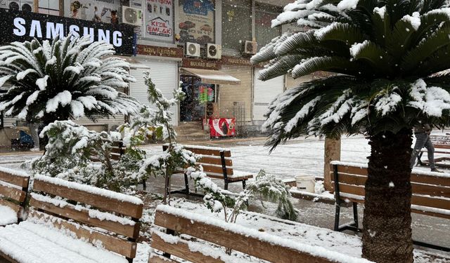 Kızıltepe'de kar yağışı etkili oluyor