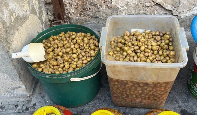 Şanlıurfa'da 1 ton bozulmuş zeytin ele geçirildi