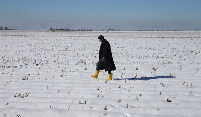 Şanlıurfa'da etkili olan kar yağışı çiftçiye umut oldu