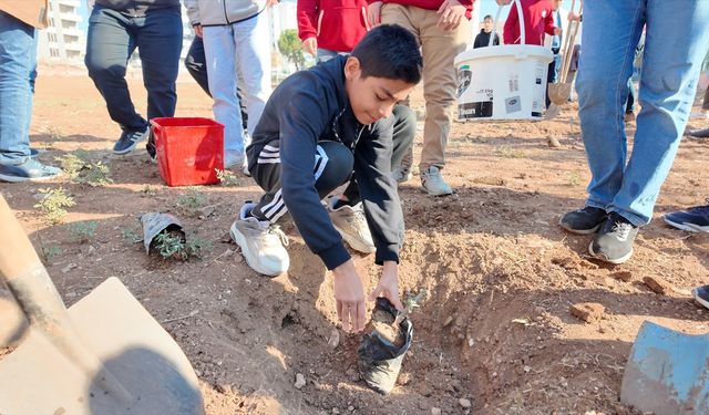 Şanlıurfa'da 'Yeşeren Okullar' projesi uygulanıyor