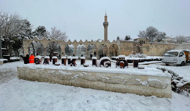 Şanlıurfa'daki tarihi Balıklıgöl beyaza büründü