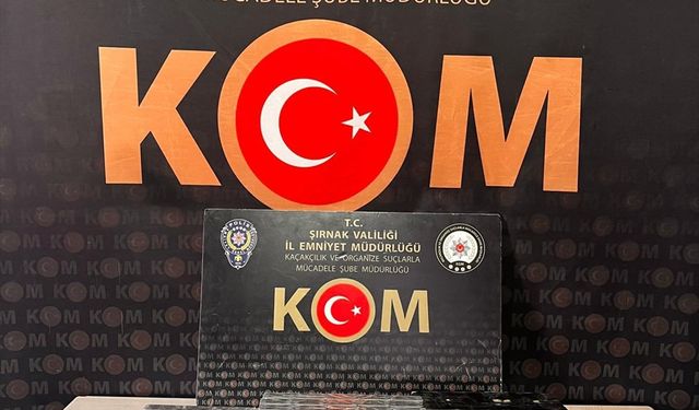 Şırnak'ta kaçakçılık operasyonlarında 1 zanlı tutuklandı