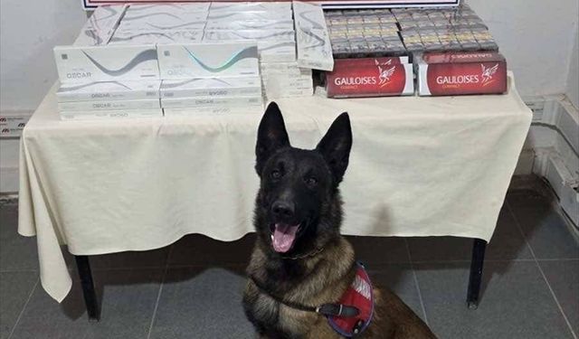 Şırnak'ta operasyonlarda 72 şüpheli hakkında işlem yapıldı