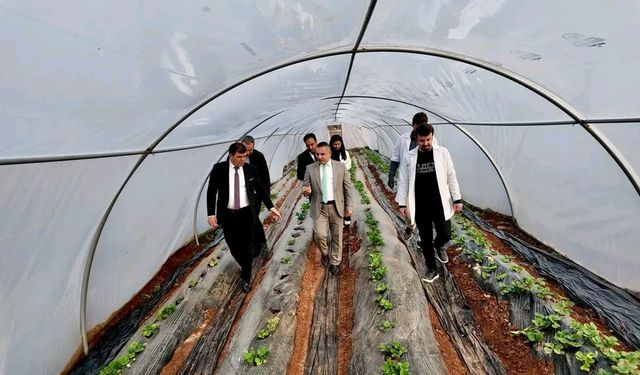 Tarım lisesinde üretilen mantarın hasadı yapıldı