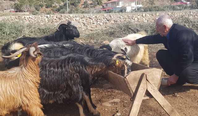 Depremde hayvanlarını kaybetti, yeniden sürü sahibi oldu