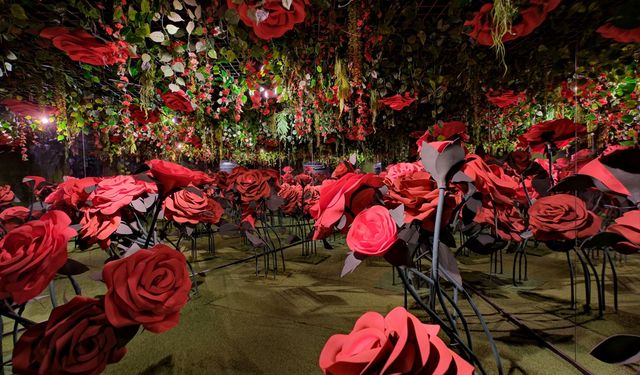 Akasya AVM'den yarıyıl tatiline özel program