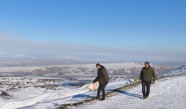 Batman'da yaban hayvanları için doğaya yiyecek bırakıldı