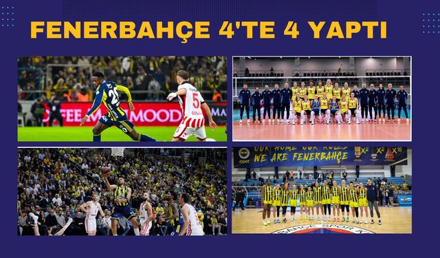 Fenerbahçe Dört Branşta Zirve Gecesi Yaşadı