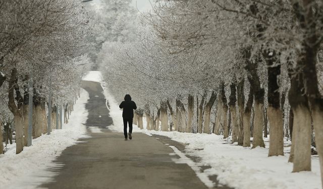 Diyarbakır'da soğuk hava etkili oluyor