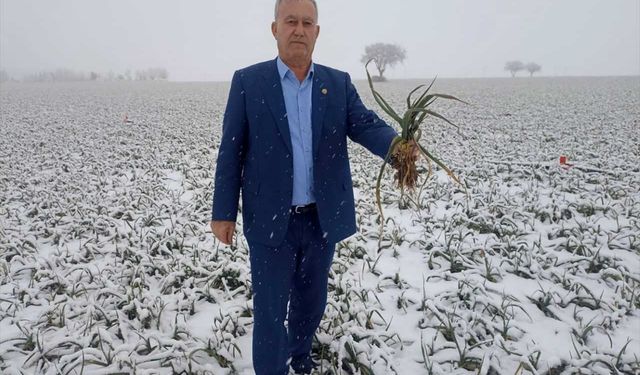 Kar yağışı kuraklıktan korkan çiftçileri sevindirdi