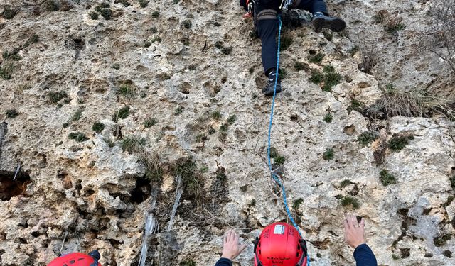Mardin'de dağda mahsur kalan keçiyi AFAD ekibi kurtardı