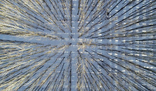 Karla kaplanan Savur Çayı havzası dronla görüntülendi