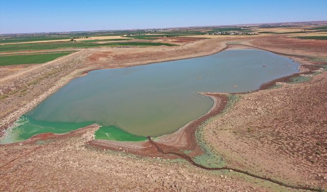 Son dönemdeki yağışlar can suyu oldu