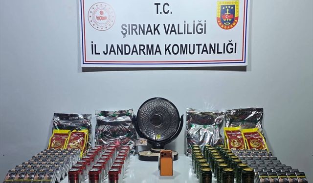 Şırnak’ta operasyonlarda 111 şüpheliye işlem