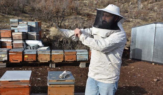 Şırnak'ta ürettiği balla Londra'dan ödülle dönmek istiyor