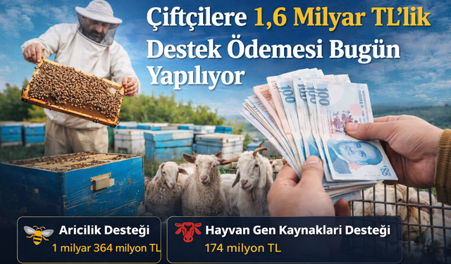 Çiftçilere 1,6 Milyar TL’lik Destek Ödemesi Bugün Yapılıyor