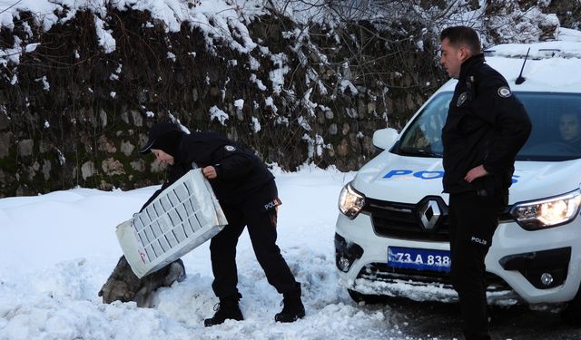 Uludere'de sokak hayvanları için yiyecek bırakıldı