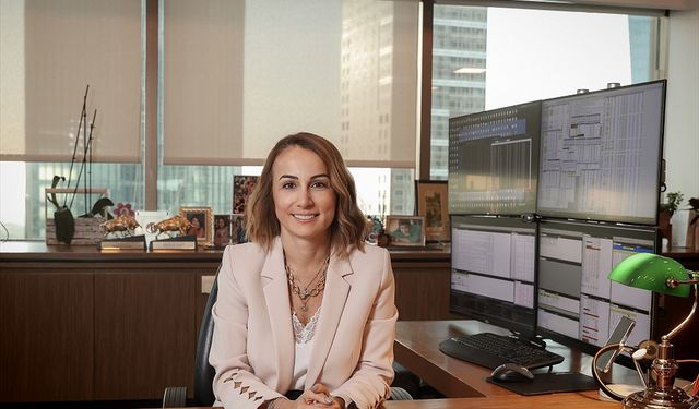 Yapı Kredi Portföy'den yatırımcı tercih analizleri