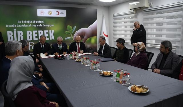Hayata Başlayan Her Bebek İçin Bir Ağaç