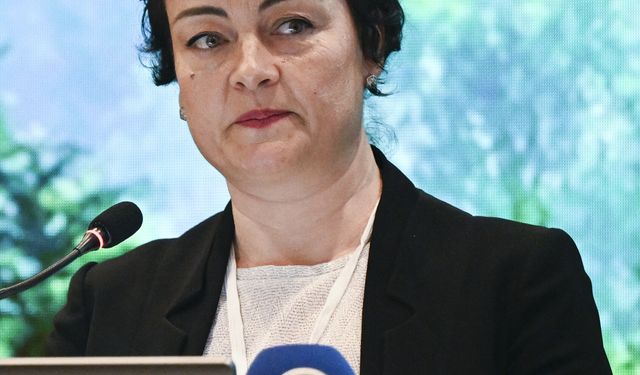 FSC, orman ürünleri sektörünü Ankara'da bir araya getirdi