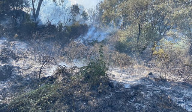 Antalya'da otluk alanda çıkan yangın ormana sıçradı