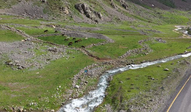 Şırnak Yaylalarında Kartpostallık Görüntüler
