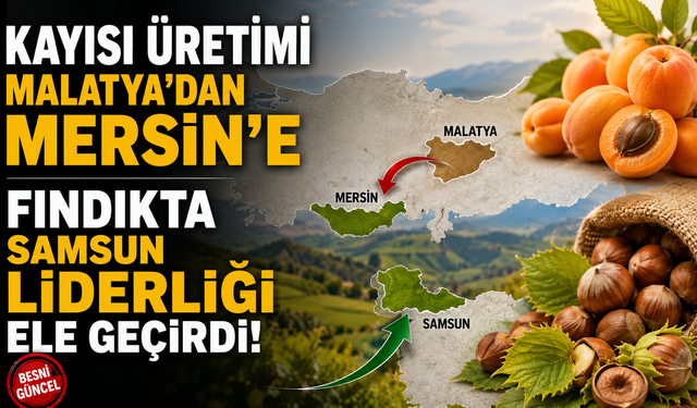 Kayısıda Mersin, Fındıkta Samsun Zirvede