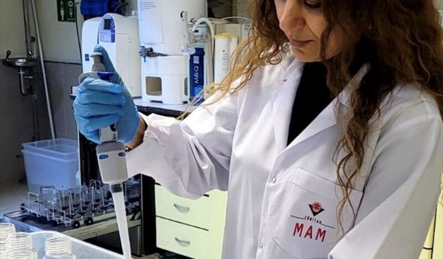 Karadeniz’de Plastik Kirliliği İçin Kritik Uyarı