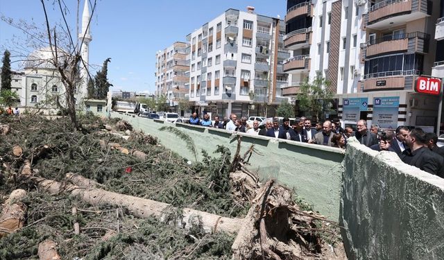 Başkan Gülpınar Birecik'te yürütülen çalışmaları inceledi