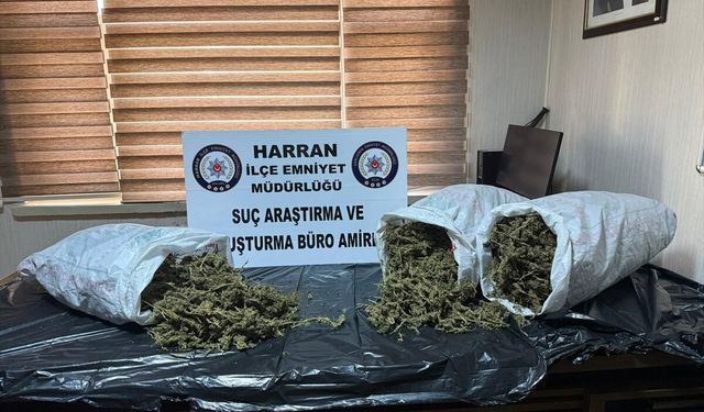 Harran’da Narkotik Operasyonunda Şüpheli Tutuklandı