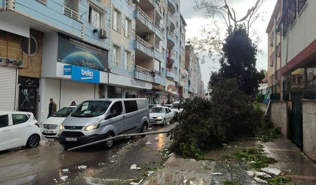 Birecik’te Fırtına: Direk Devrildi, 2 Kişi Yaralandı