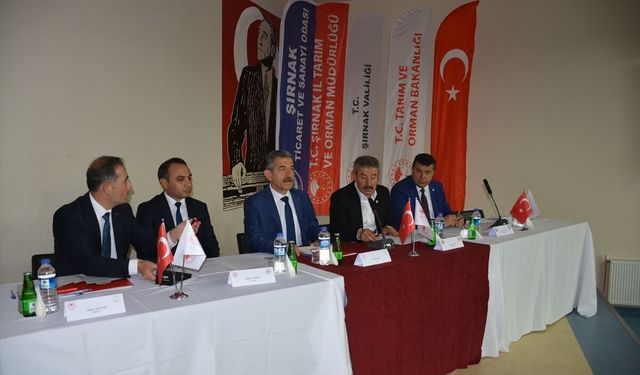 Silopi’ye Dev Sera Yatırımı Geliyor