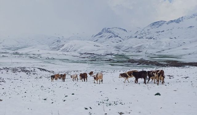 Şırnak'ın yüksek kesimlerinde kar etkili oldu