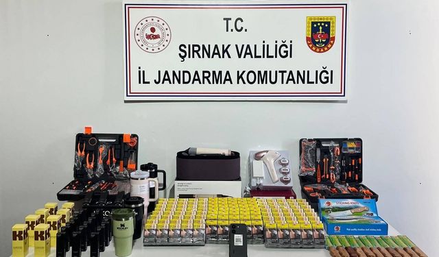 Şırnak’ta Kaçakçılık ve Asayiş Denetimi Yapıldı