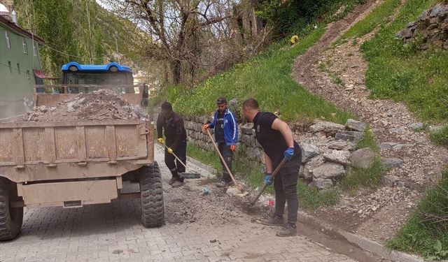 Uludere Belediyesinden temizlik çalışması