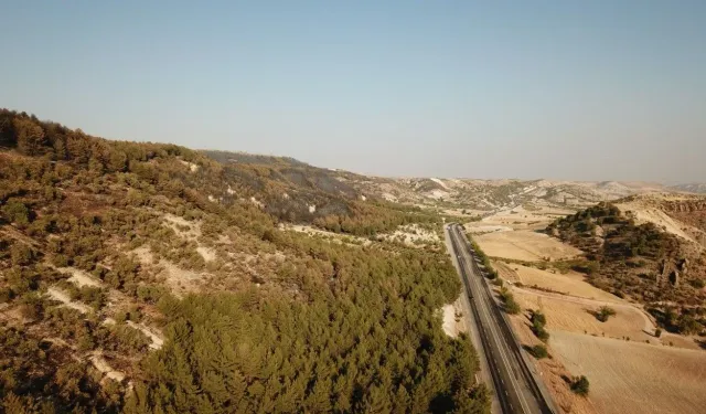 Adıyaman'da Ormanlara Giriş Yasaklandı