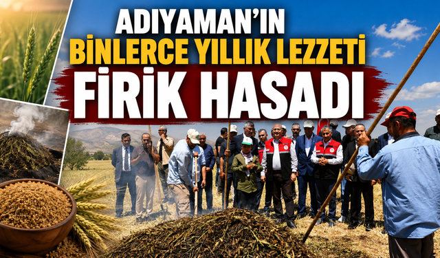 Adıyaman'ın Binlerce Yıllık Lezzeti Firik Hasadı