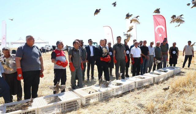 Adıyaman'da 1000 Keklik Doğaya Salındı