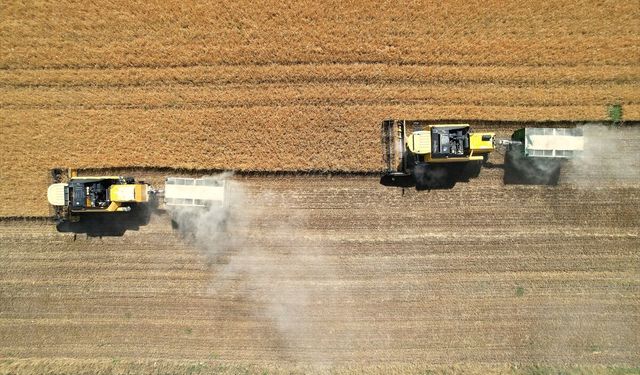 Adıyaman'da Hububat Rekoltesi Bereketle Yükseldi