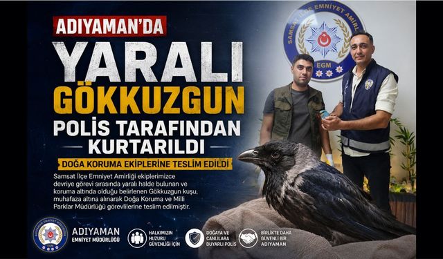 Adıyaman'da Yaralı Gökkuzgun Polis Tarafından Kurtarıldı